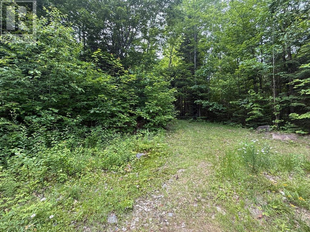 1118 Stoney Road, Ryerson, Ontario  P0A 1C0 - Photo 11 - X12439803