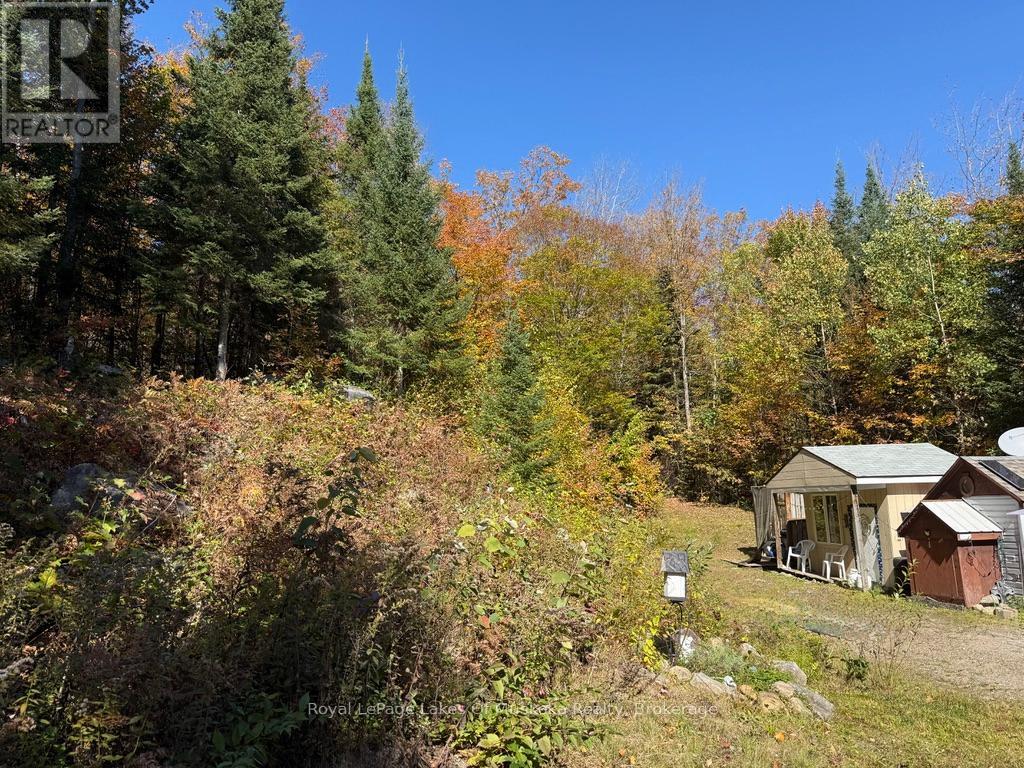 1118 Stoney Road, Ryerson, Ontario  P0A 1C0 - Photo 2 - X12439803