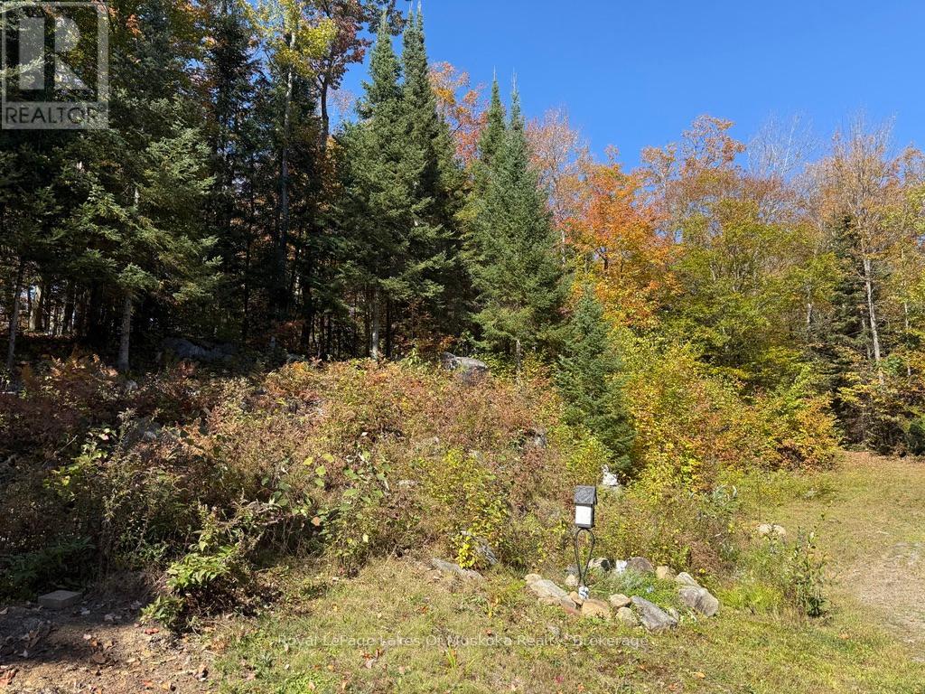 1118 Stoney Road, Ryerson, Ontario  P0A 1C0 - Photo 3 - X12439803