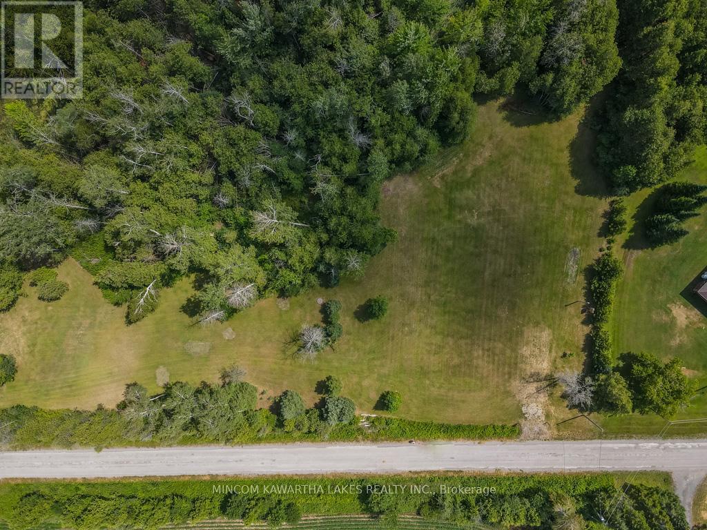 193 Sixth Line E, Otonabee-South Monaghan, Ontario  K9J 6Y3 - Photo 1 - X12439955