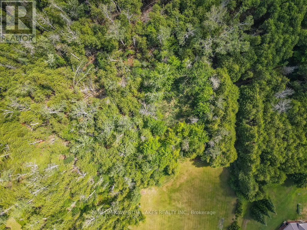 193 Sixth Line E, Otonabee-South Monaghan, Ontario  K9J 6Y3 - Photo 4 - X12439955