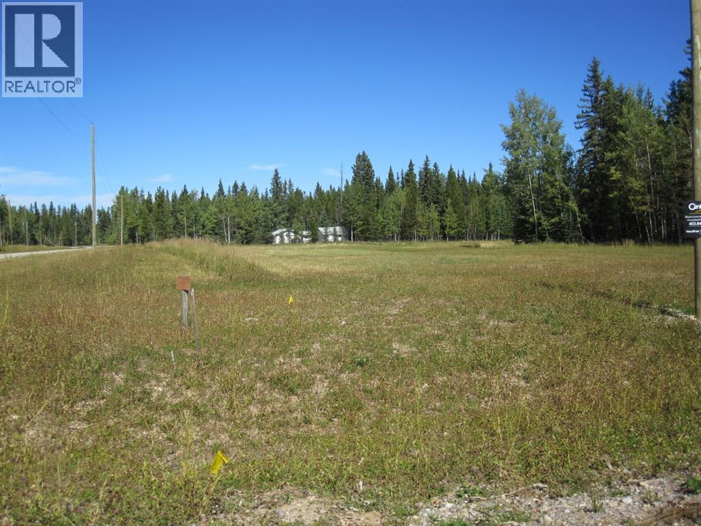 52 Boundary Close, Rural Clearwater County, Alberta  T0M 0M0 - Photo 12 - A2209746
