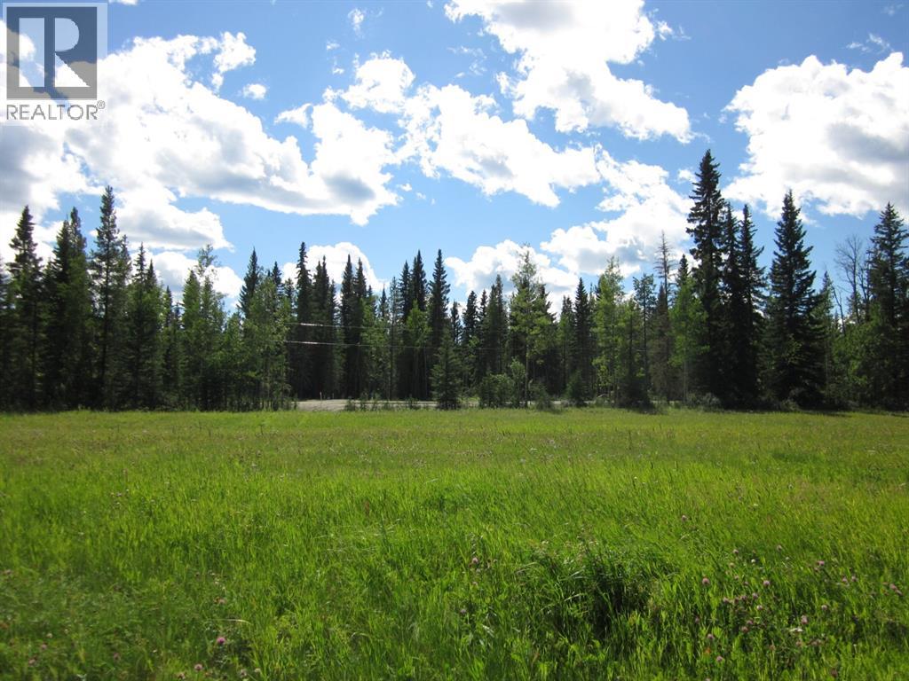52 Boundary Close, Rural Clearwater County, Alberta  T0M 0M0 - Photo 9 - A2209746