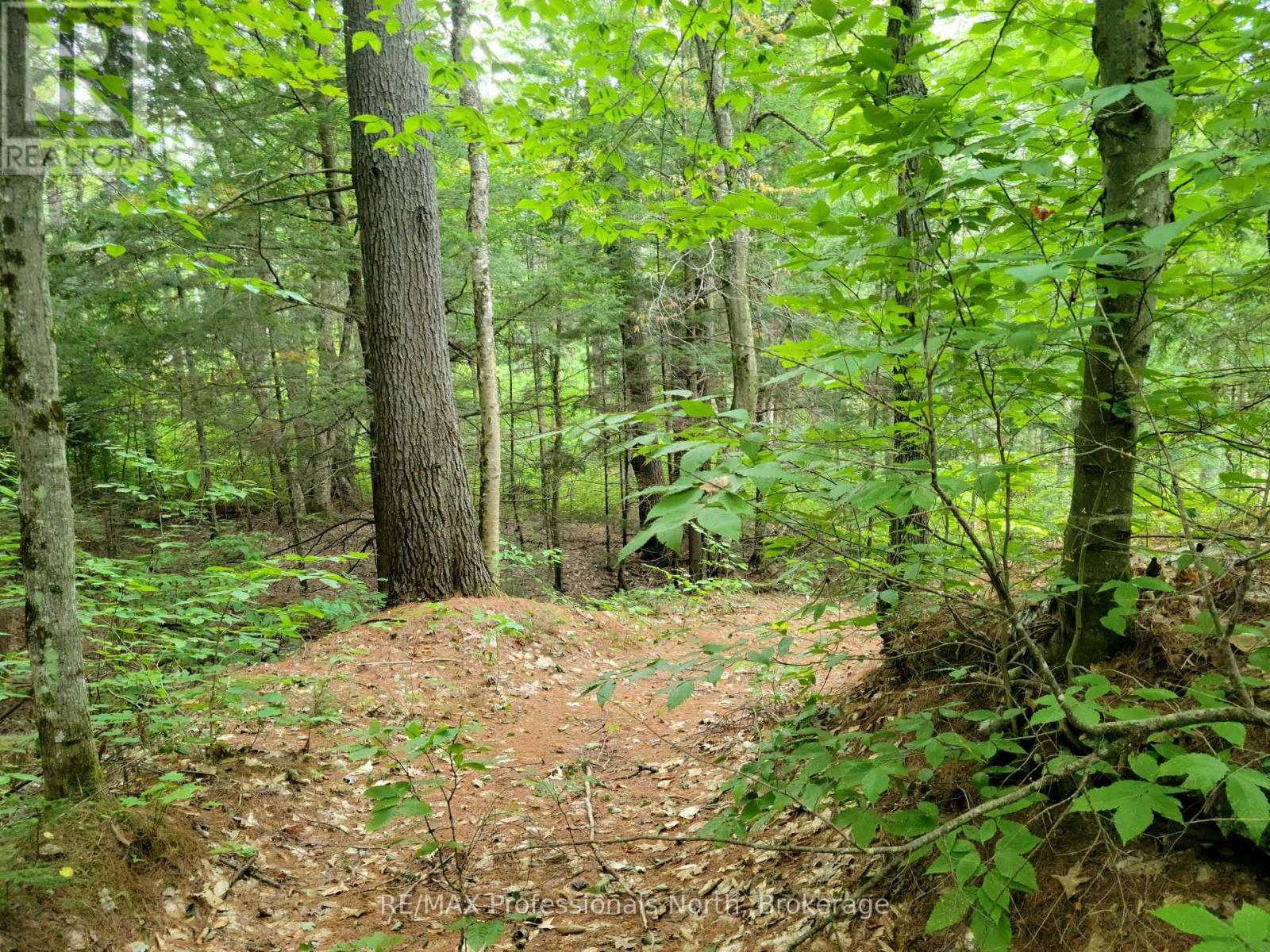 Lot 9 & 10 Concession 5, Lake Of Bays, Ontario  P0B 1A0 - Photo 24 - X12421805