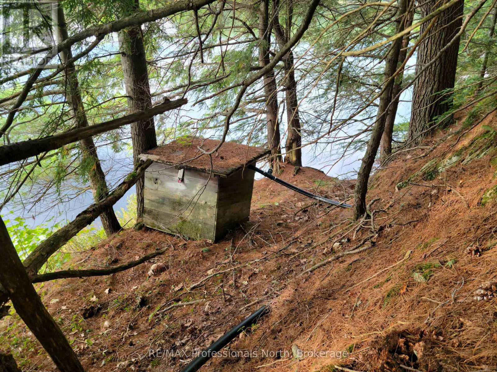 Lot 9 & 10 Concession 5, Lake Of Bays, Ontario  P0B 1A0 - Photo 37 - X12421805