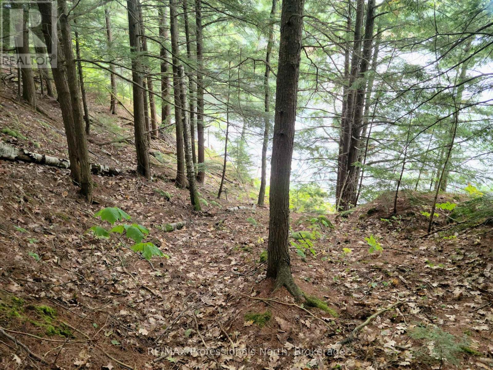 Lot 9 & 10 Concession 5, Lake Of Bays, Ontario  P0B 1A0 - Photo 36 - X12421805