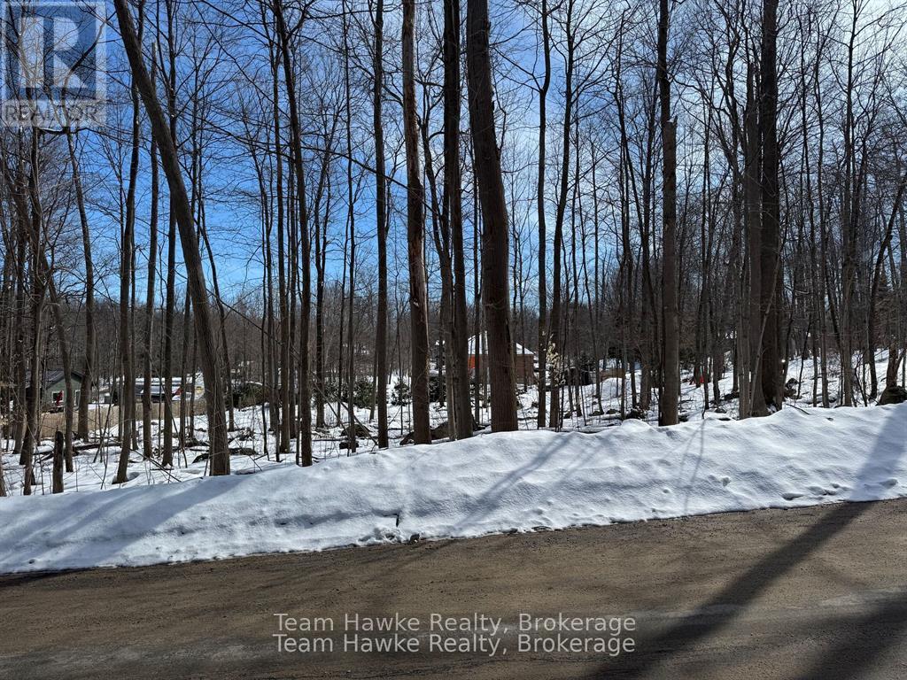 85 Polish Avenue, Penetanguishene, Ontario  L9M 1W8 - Photo 2 - S12440035