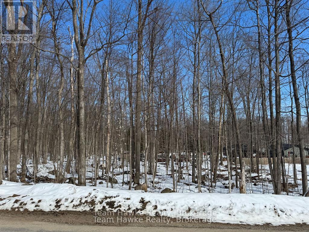 85 Polish Avenue, Penetanguishene, Ontario  L9M 1W8 - Photo 3 - S12440035