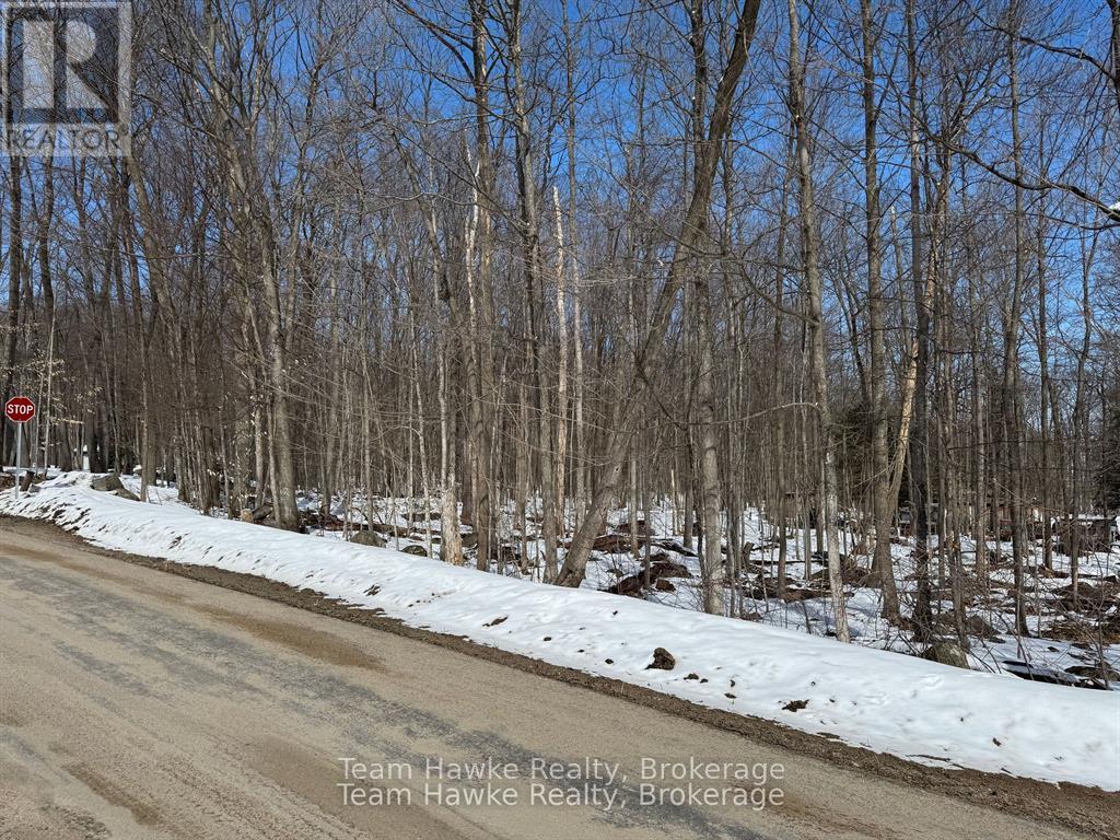 85 Polish Avenue, Penetanguishene, Ontario  L9M 1W8 - Photo 4 - S12440035