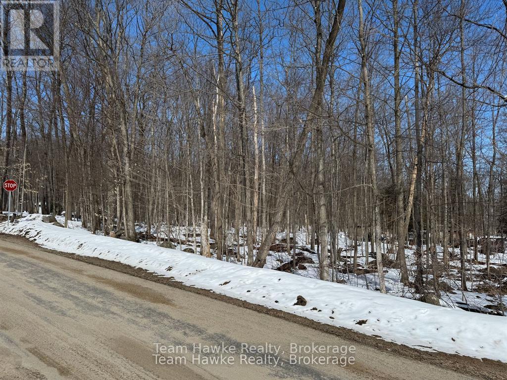 85 Polish Avenue, Penetanguishene, Ontario  L9M 1W8 - Photo 5 - S12440035