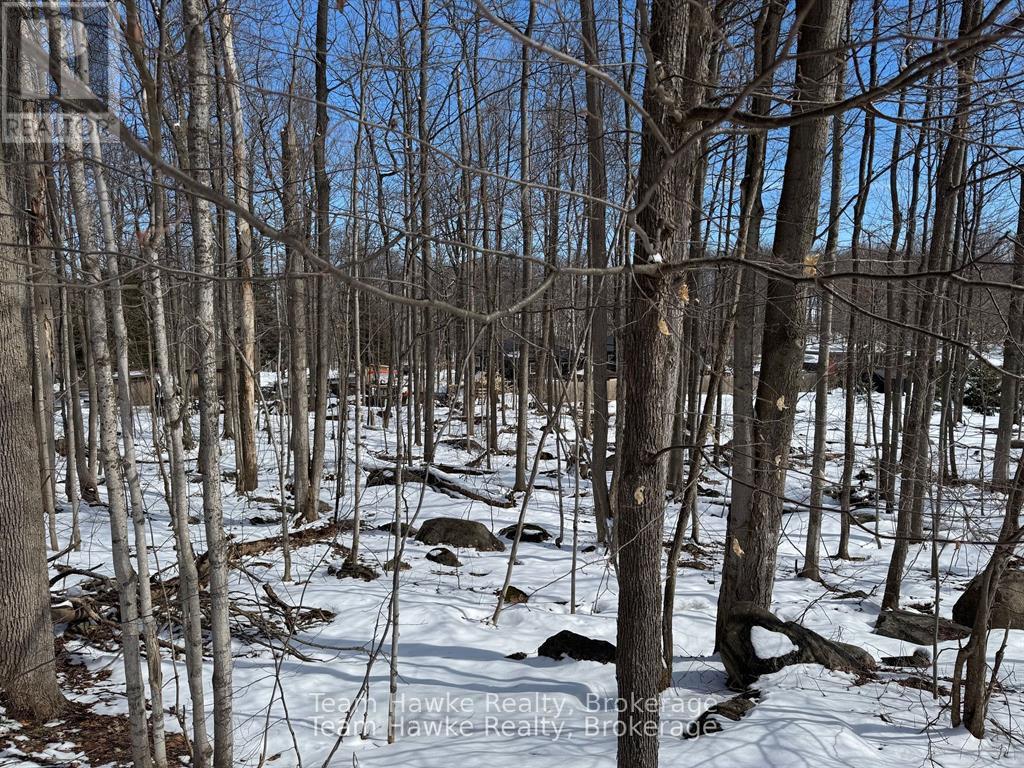 85 Polish Avenue, Penetanguishene, Ontario  L9M 1W8 - Photo 7 - S12440035