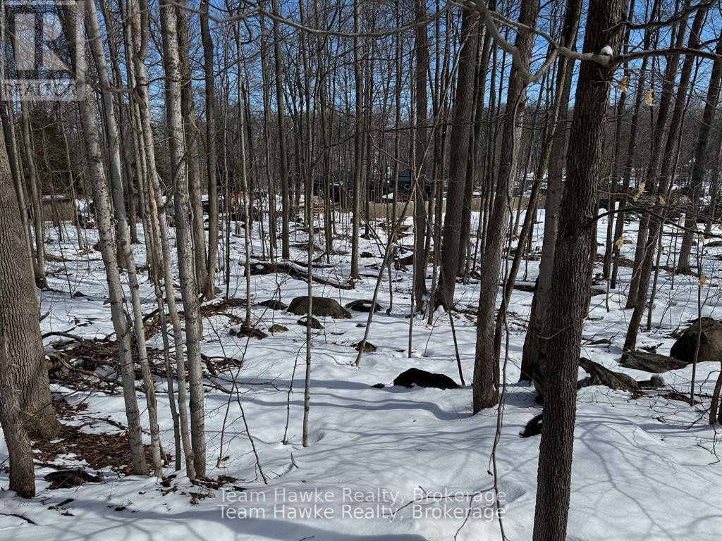 85 Polish Avenue, Penetanguishene, Ontario  L9M 1W8 - Photo 8 - S12440035