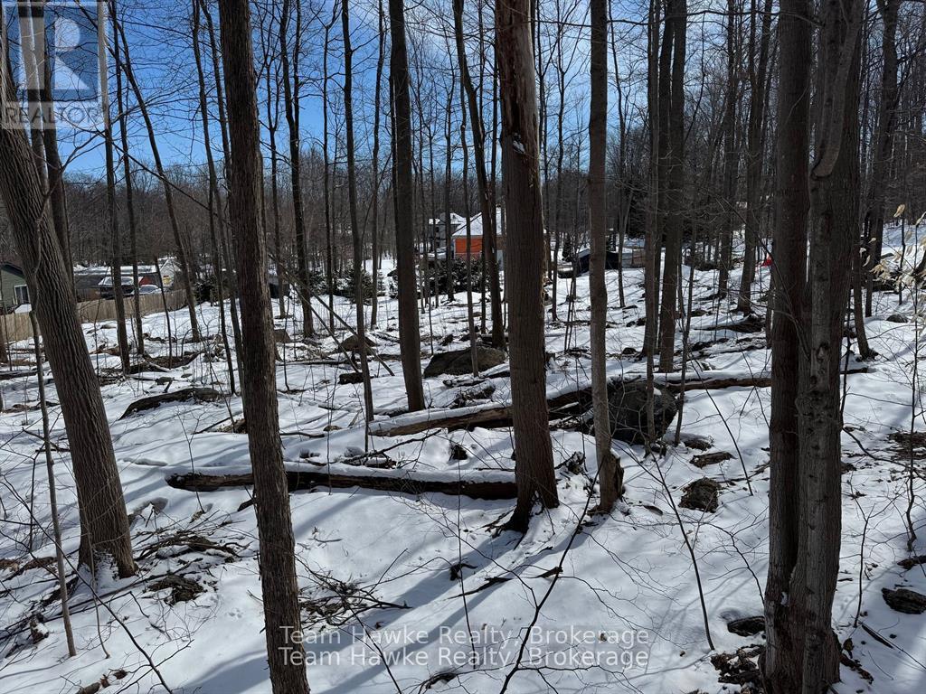 85 Polish Avenue, Penetanguishene, Ontario  L9M 1W8 - Photo 9 - S12440035
