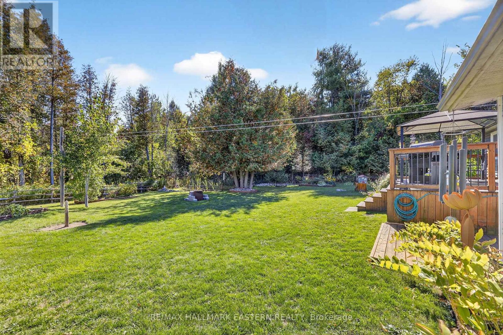 4379 Highway 28, Selwyn, Ontario  K0L 2H0 - Photo 32 - X12440004