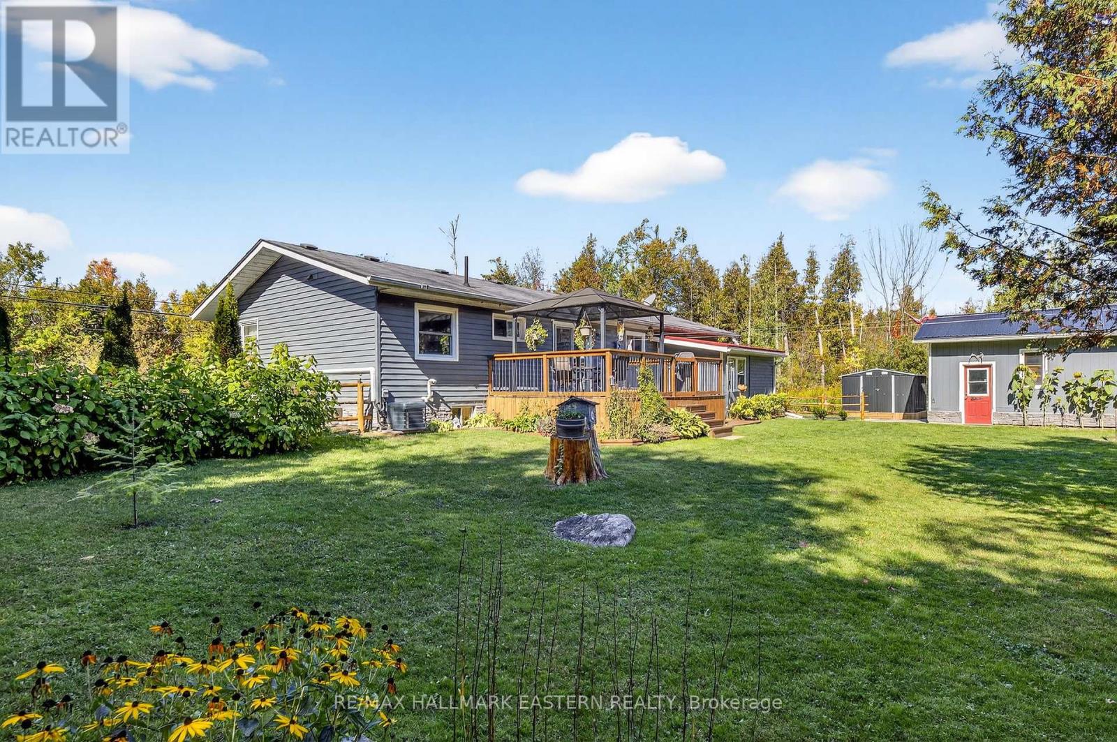 4379 Highway 28, Selwyn, Ontario  K0L 2H0 - Photo 34 - X12440004