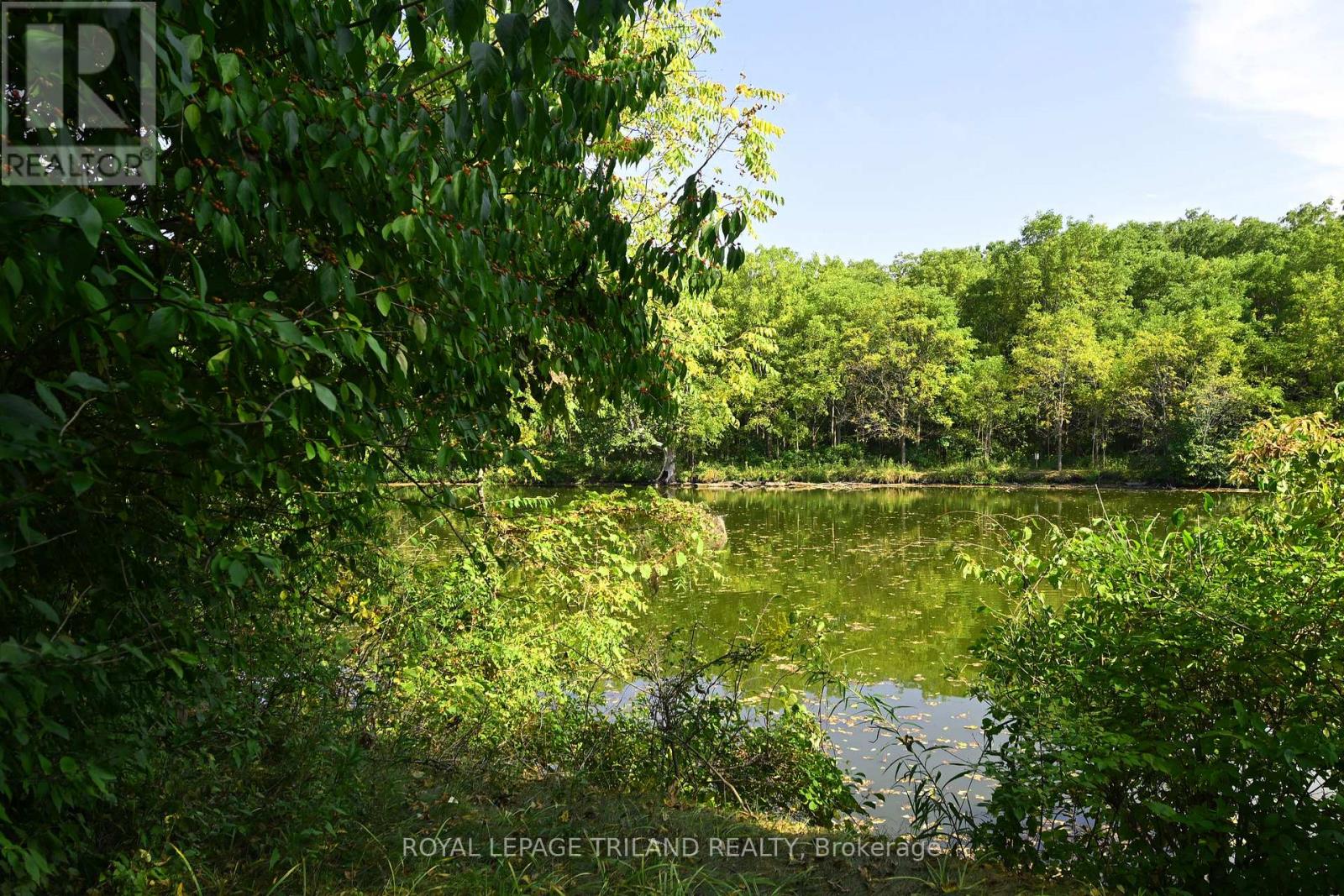 65 Cove Road, London South, Ontario  N6J 1H8 - Photo 10 - X12440028