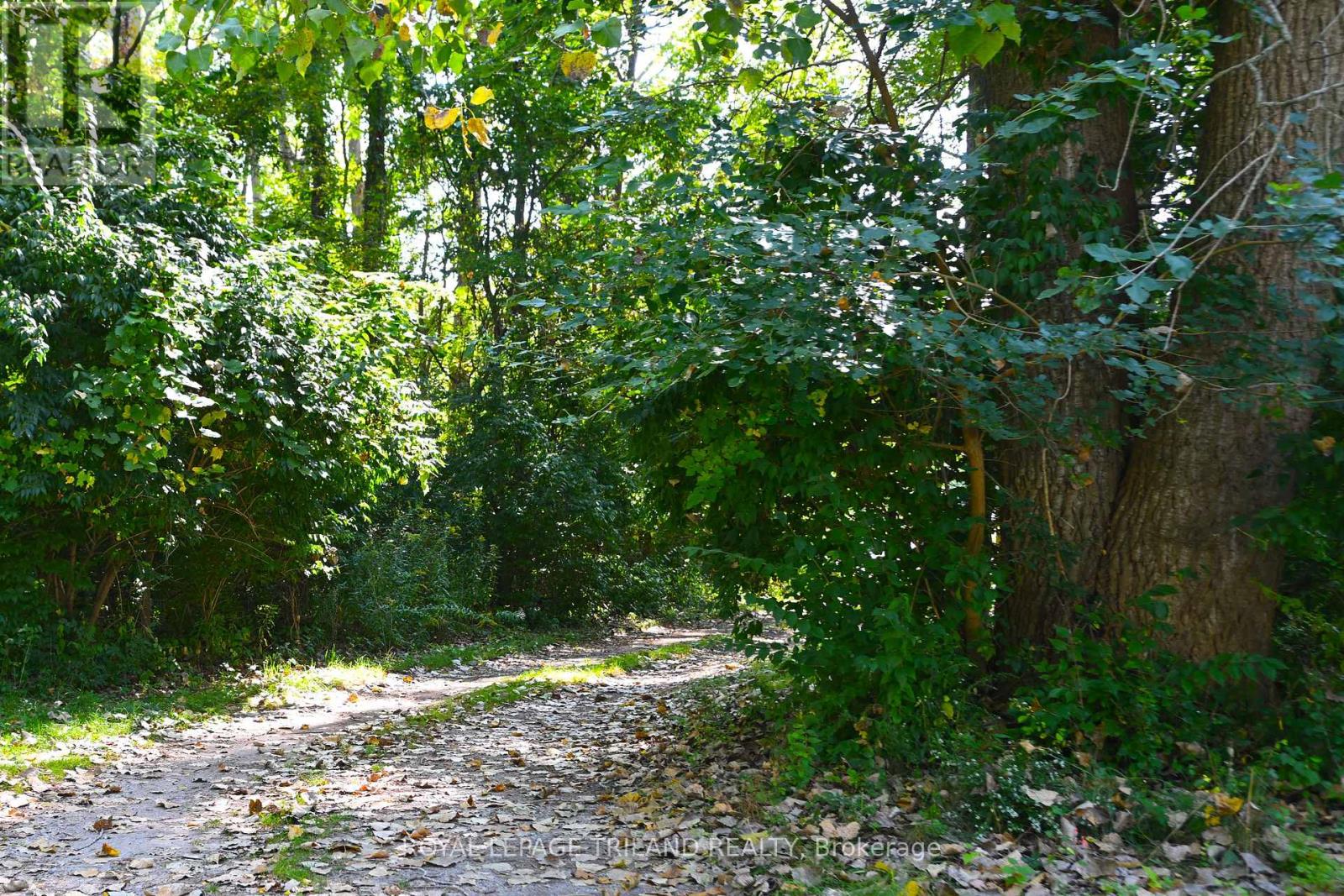 65 Cove Road, London South, Ontario  N6J 1H8 - Photo 12 - X12440028
