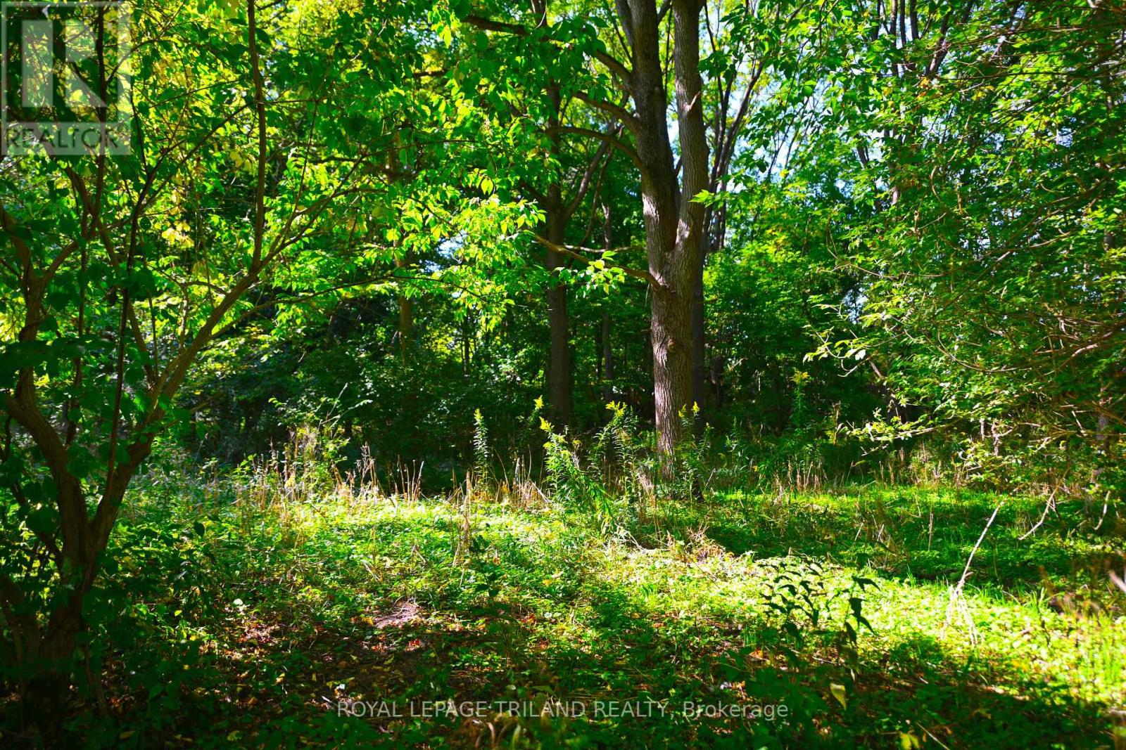 65 Cove Road, London South, Ontario  N6J 1H8 - Photo 16 - X12440028