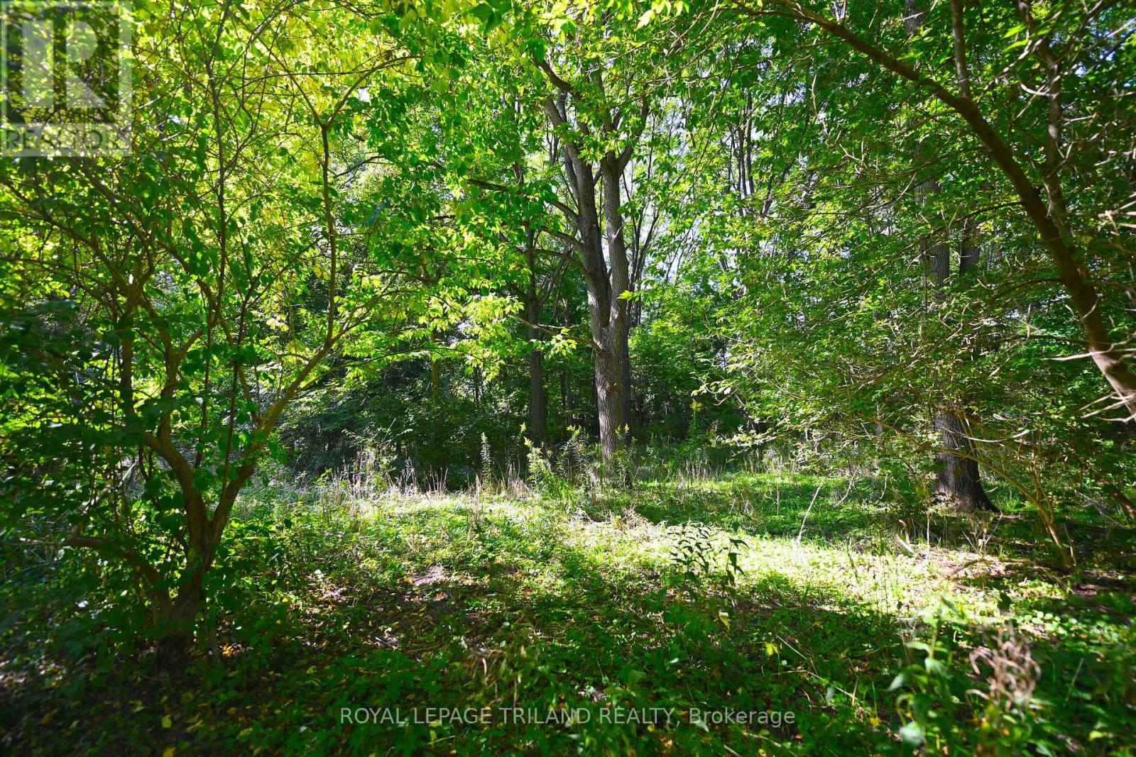 65 Cove Road, London South, Ontario  N6J 1H8 - Photo 17 - X12440028