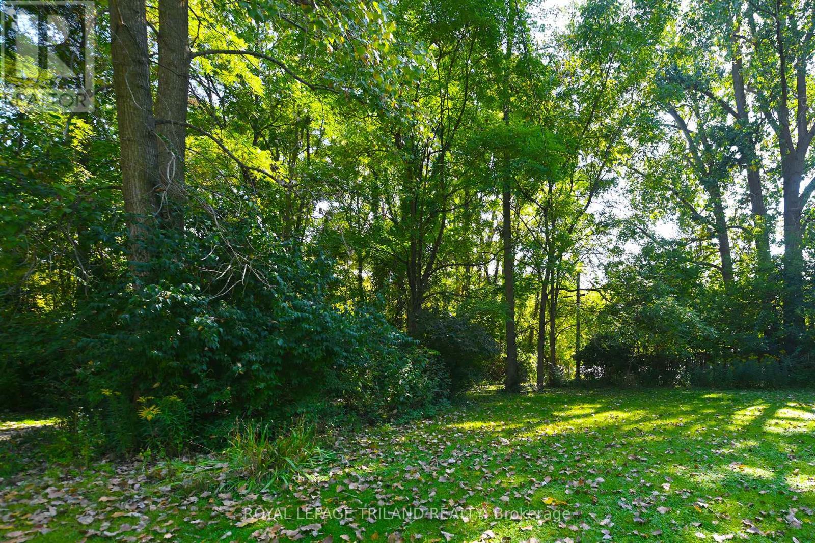 65 Cove Road, London South, Ontario  N6J 1H8 - Photo 25 - X12440028