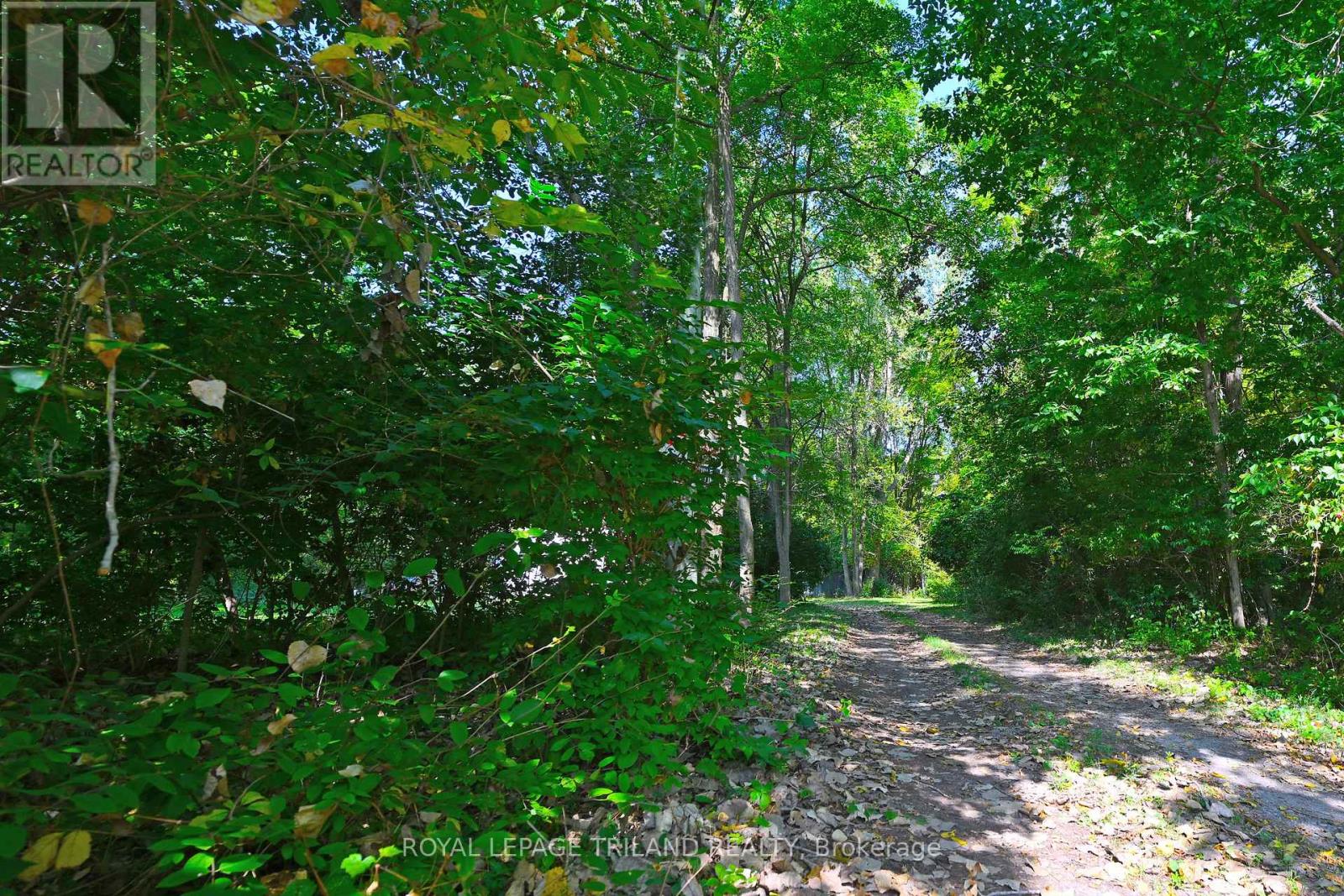 65 Cove Road, London South, Ontario  N6J 1H8 - Photo 26 - X12440028
