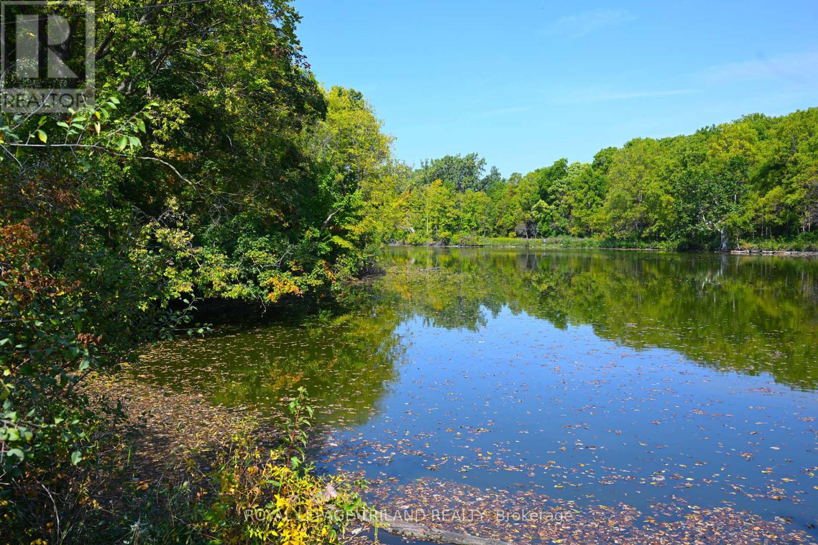 65 Cove Road, London South, Ontario  N6J 1H8 - Photo 29 - X12440028