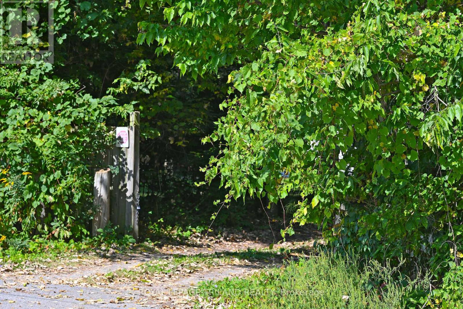 65 Cove Road, London South, Ontario  N6J 1H8 - Photo 30 - X12440028