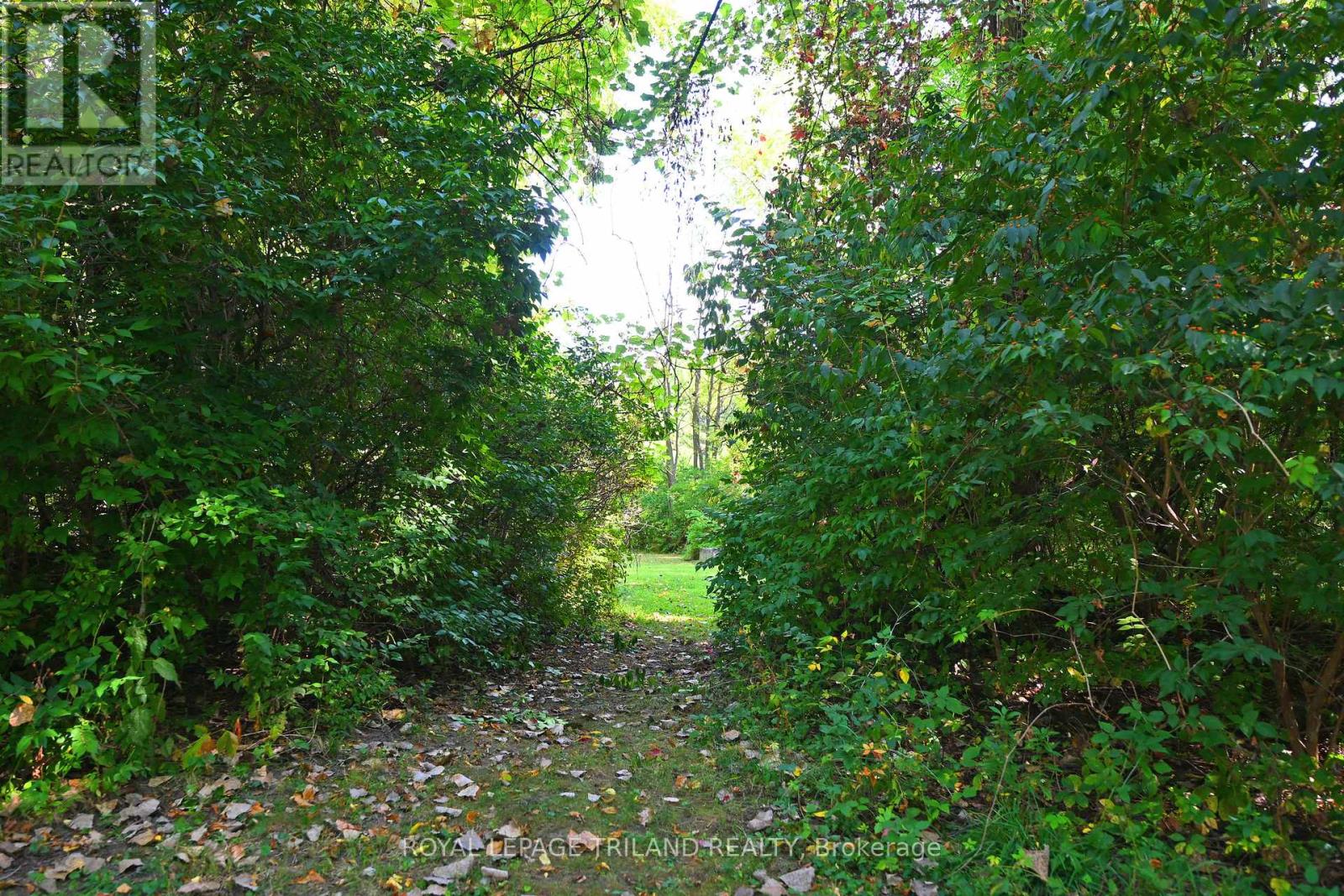 65 Cove Road, London South, Ontario  N6J 1H8 - Photo 4 - X12440028