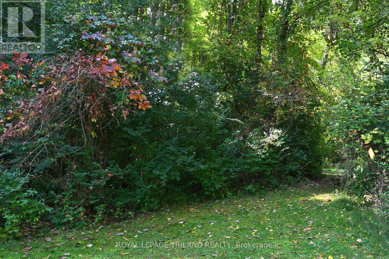 65 Cove Road, London South, Ontario  N6J 1H8 - Photo 6 - X12440028