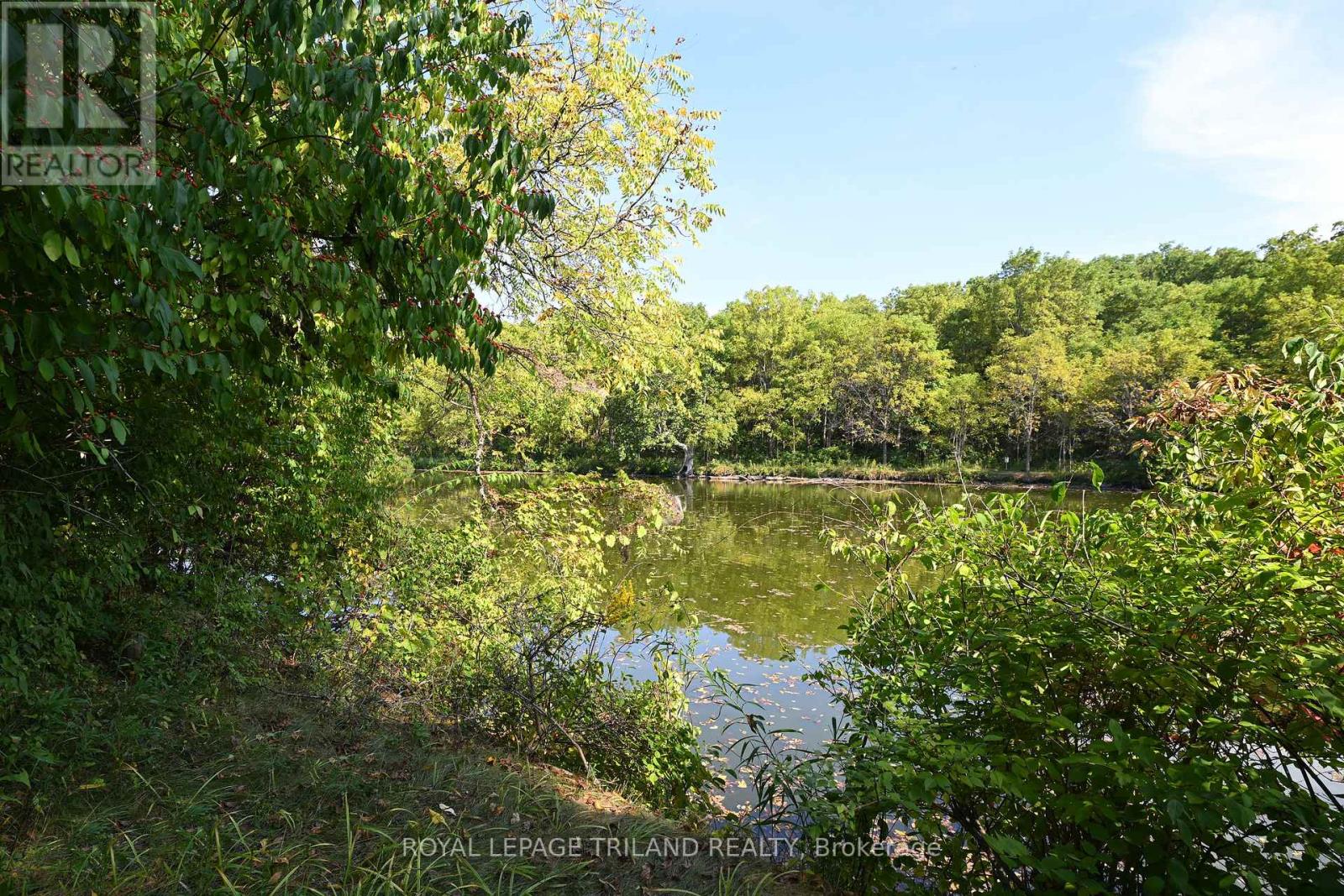 65 Cove Road, London South, Ontario  N6J 1H8 - Photo 7 - X12440028