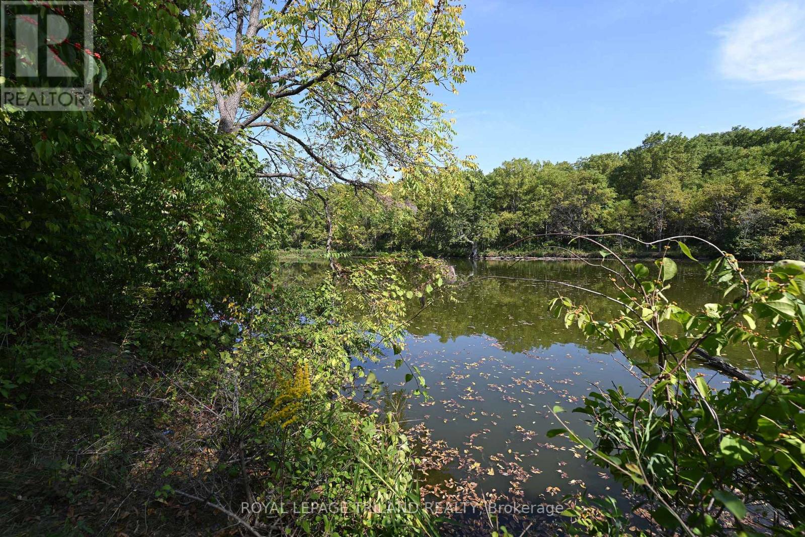 65 Cove Road, London South, Ontario  N6J 1H8 - Photo 8 - X12440028