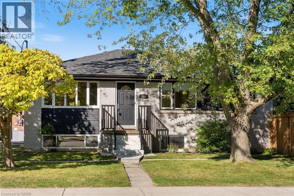 103 Wise Crescent, Hamilton, Ontario  L8T 2L7 - Photo 1 - 40775672
