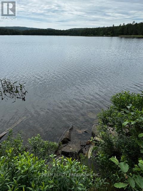 9001 Highway 17 Highway E, Calvin, Ontario  P0H 2E0 - Photo 17 - X12439855