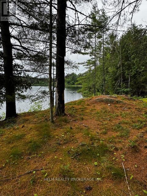 9001 Highway 17 Highway E, Calvin, Ontario  P0H 2E0 - Photo 18 - X12439855