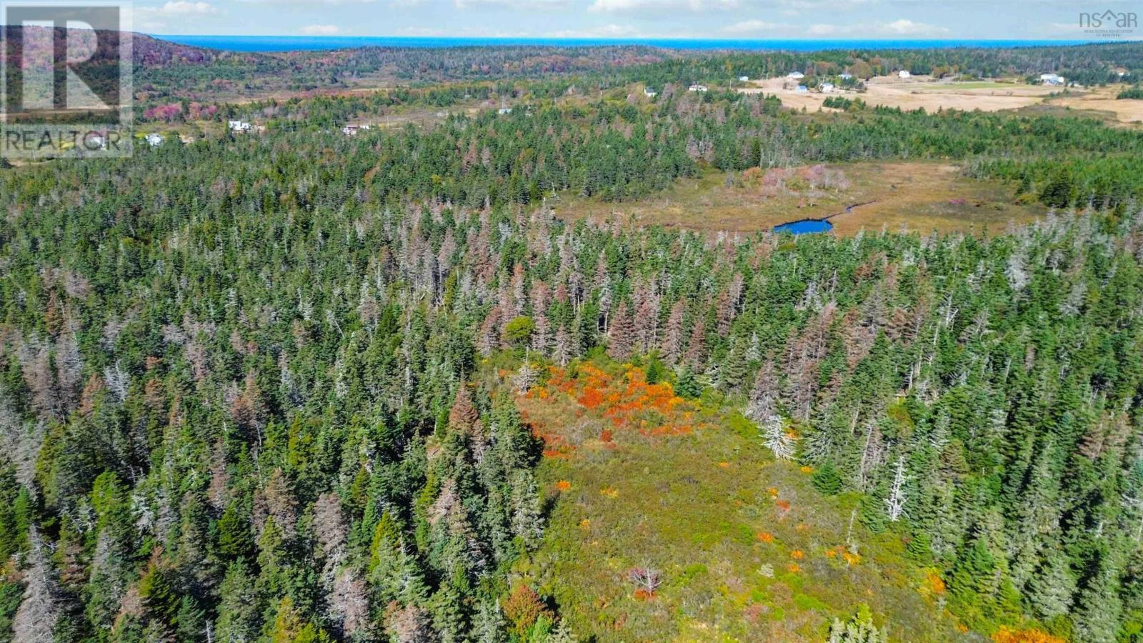 Lot Highway 217, Mink Cove, Nova Scotia  B0V 1E0 - Photo 7 - 202524594