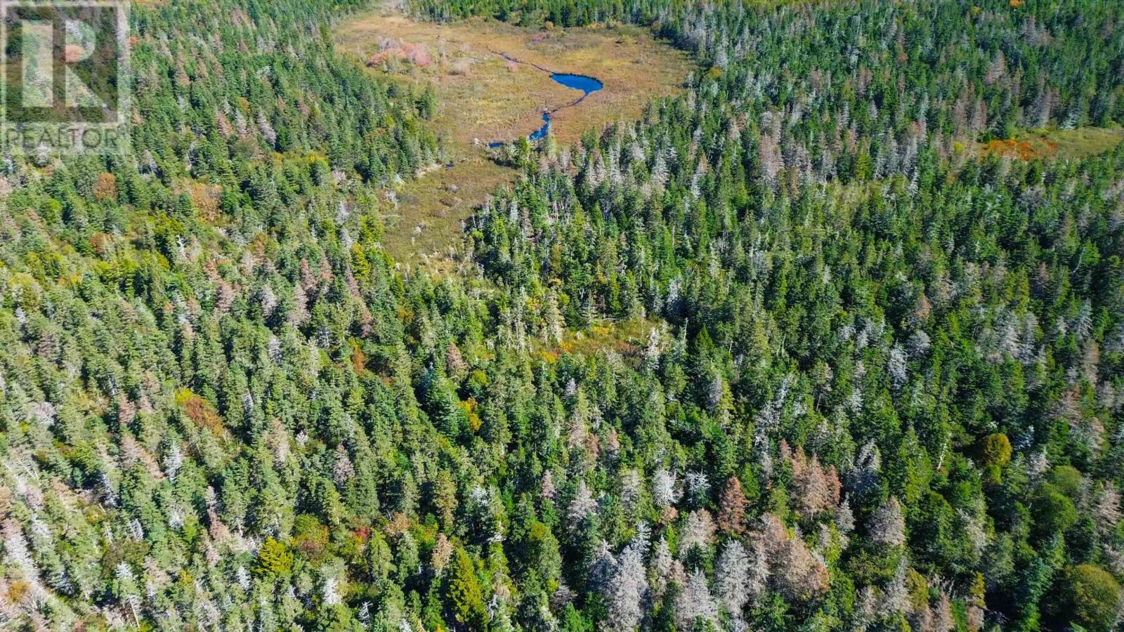 Lot Highway 217, Mink Cove, Nova Scotia  B0V 1E0 - Photo 8 - 202524594