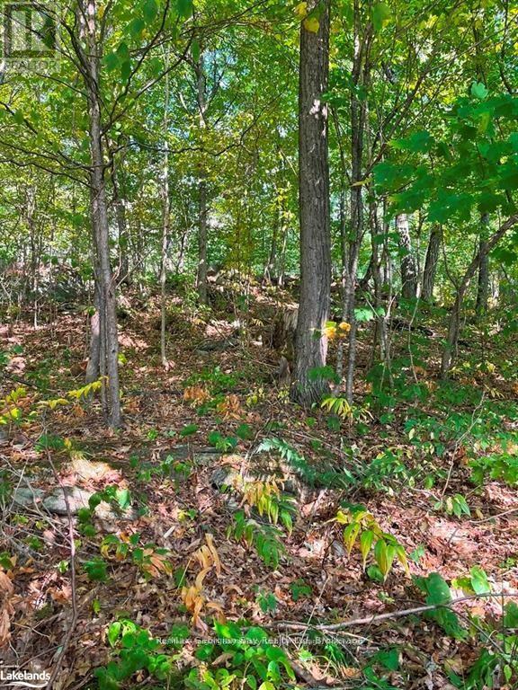 4 Sr406 Severn River, Muskoka Lakes, Ontario  L0K 1E0 - Photo 12 - X12440126