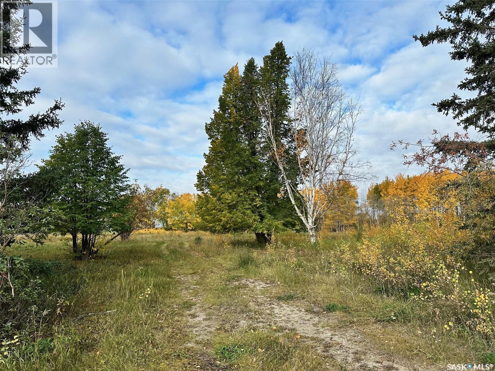 Neu Acreage, Hudson Bay, Saskatchewan  S0E 0Y0 - Photo 2 - SK019894