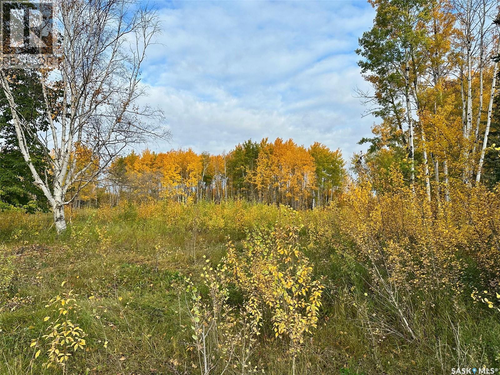 Neu Acreage, Hudson Bay, Saskatchewan  S0E 0Y0 - Photo 3 - SK019894