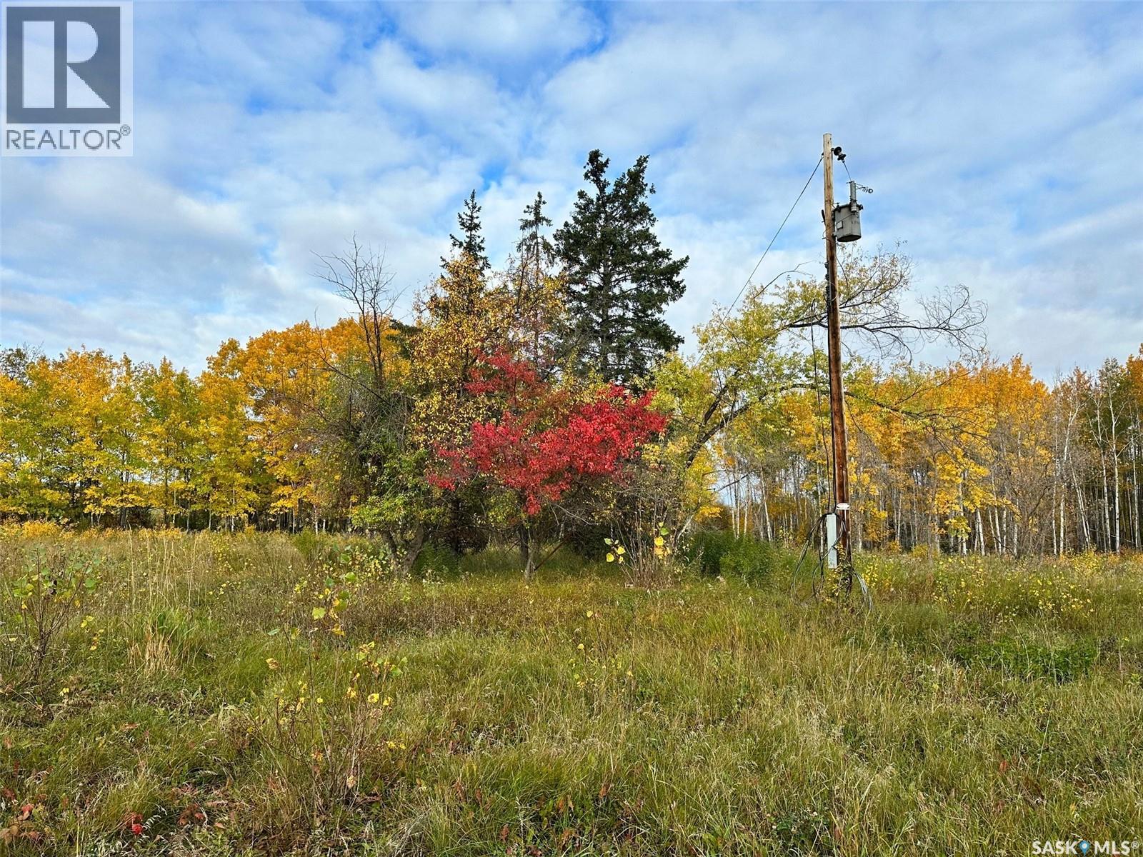 Neu Acreage, Hudson Bay, Saskatchewan  S0E 0Y0 - Photo 4 - SK019894