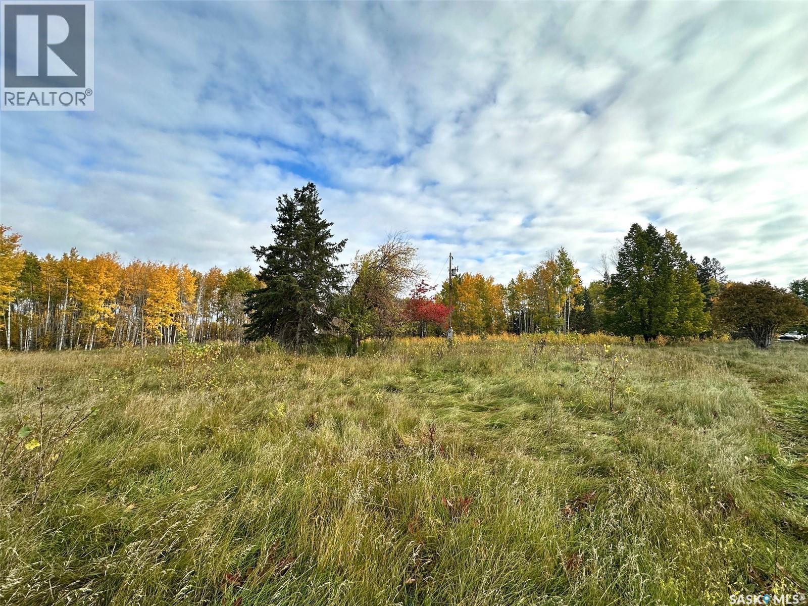 Neu Acreage, Hudson Bay, Saskatchewan  S0E 0Y0 - Photo 6 - SK019894