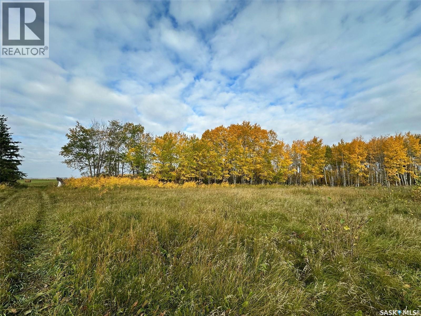 Neu Acreage, Hudson Bay, Saskatchewan  S0E 0Y0 - Photo 7 - SK019894