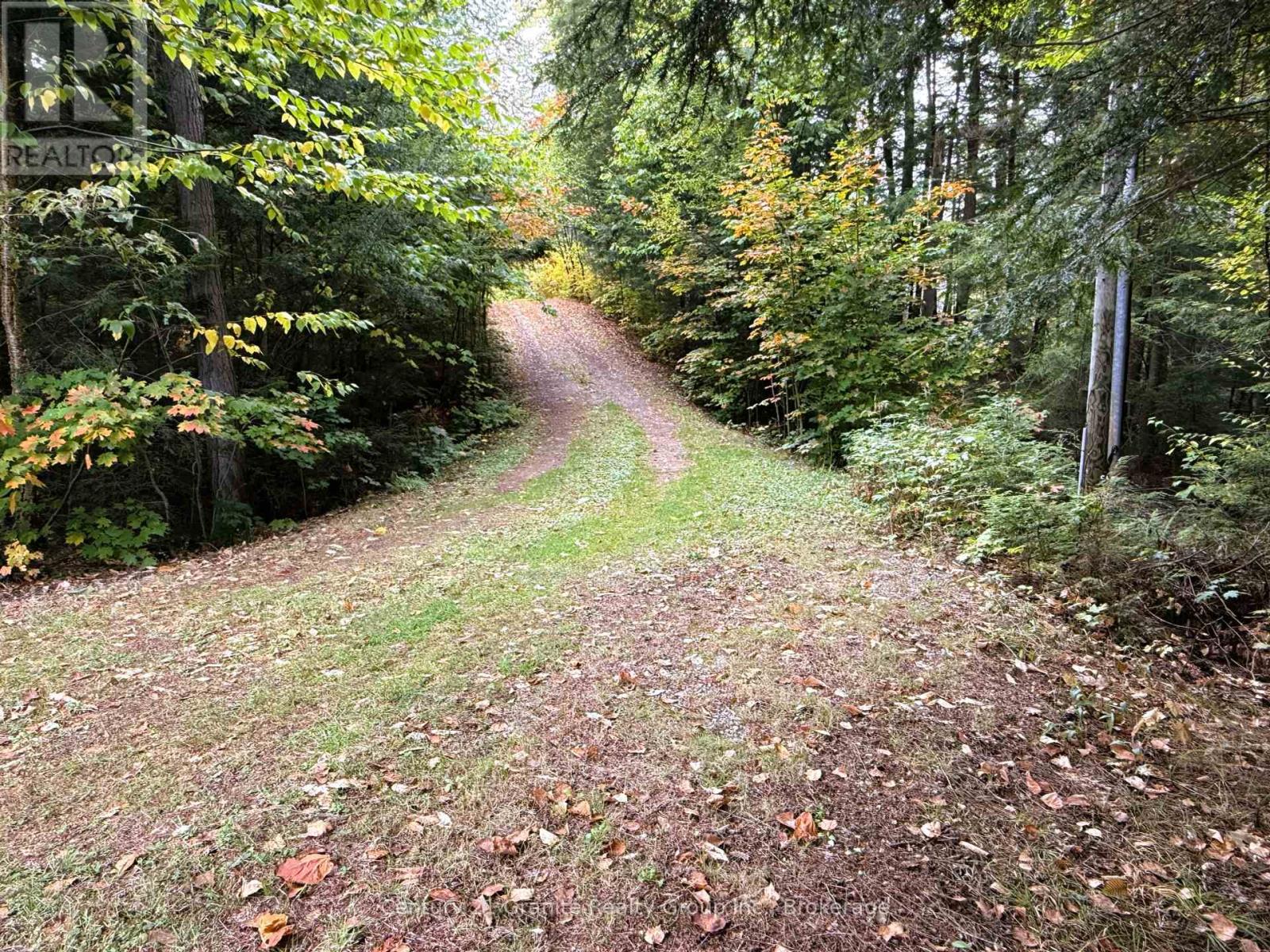 1773 Blue Heron Road, Dysart Et Al, Ontario  K0M 1S0 - Photo 34 - X12428891