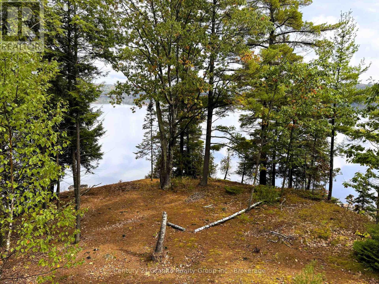 1773 Blue Heron Road, Dysart Et Al, Ontario  K0M 1S0 - Photo 21 - X12428891