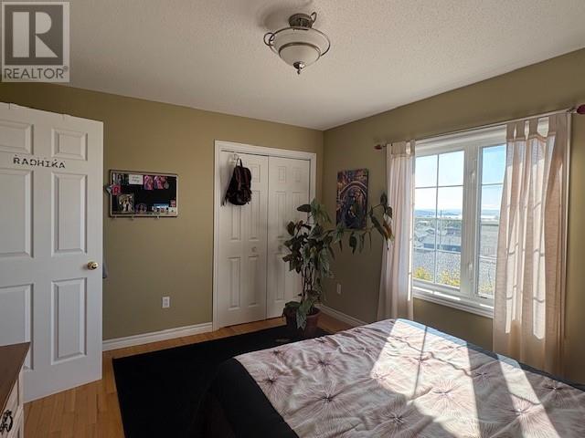 50 Fowlow Drive, Stephenville, Newfoundland & Labrador  A2N 3Y2 - Photo 39 - 1291111