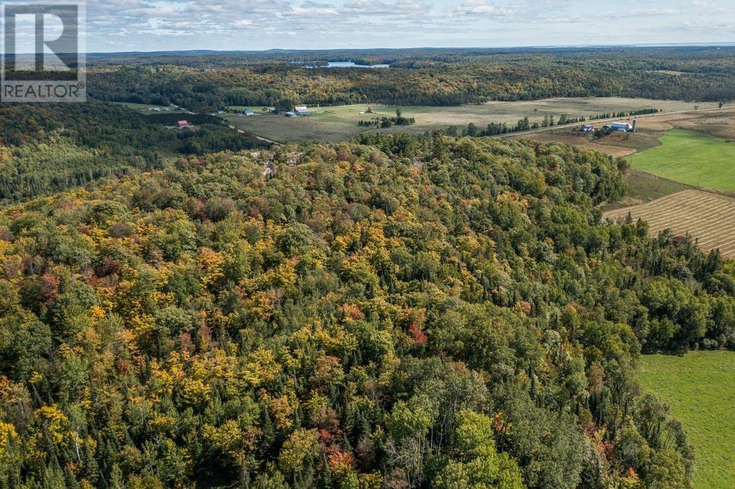 Gordon Lake Road And Carter Side Road Part 1, Johnson, Ontario  P0R 1E0 - Photo 10 - SM252705