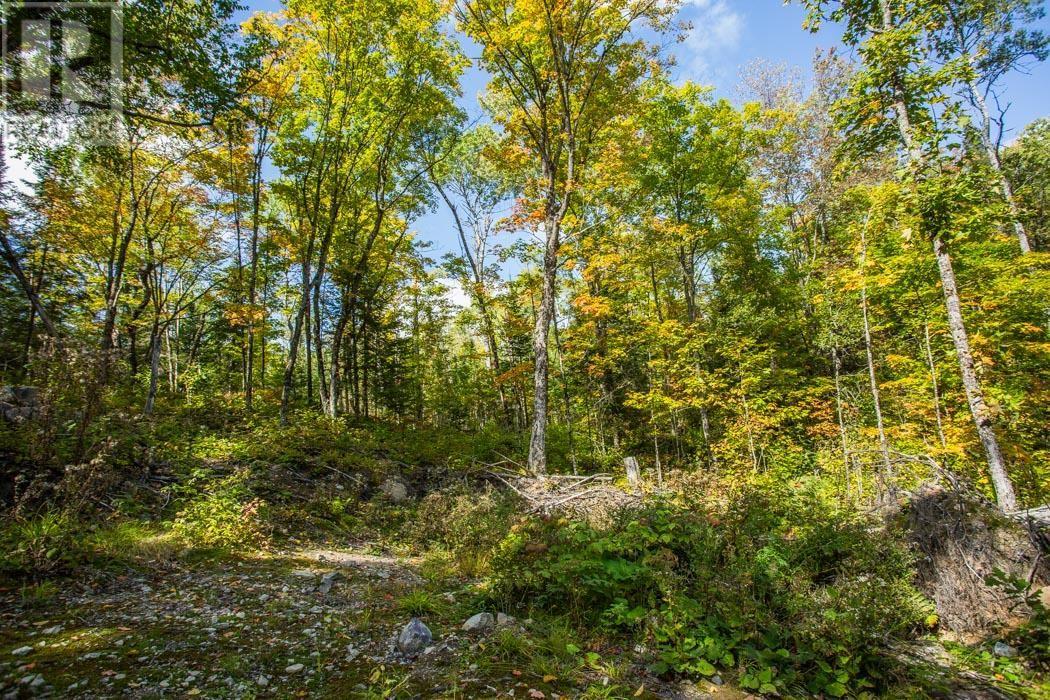 Gordon Lake Road And Carter Side Road Part 1, Johnson, Ontario  P0R 1E0 - Photo 19 - SM252705