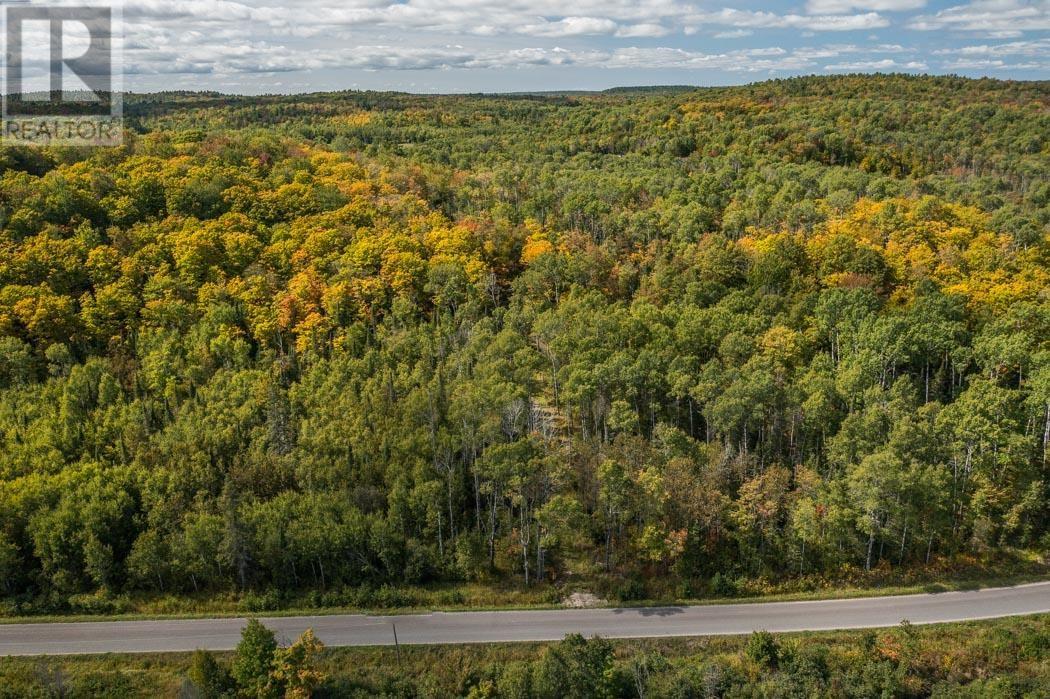 Gordon Lake Road And Carter Side Road Part 1, Johnson, Ontario  P0R 1E0 - Photo 2 - SM252705