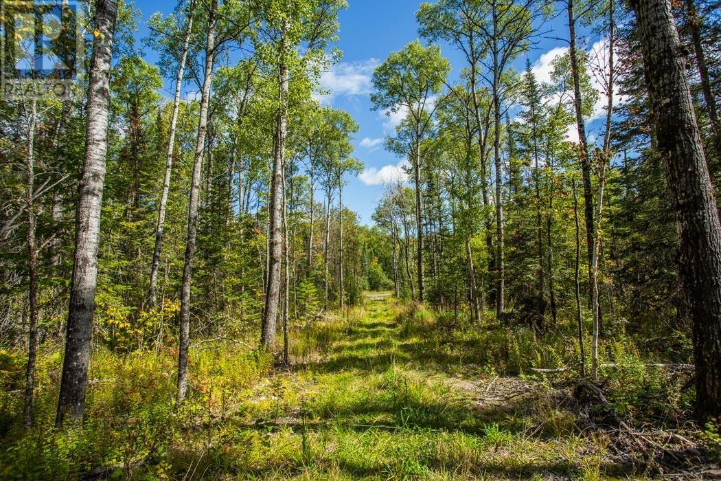 Gordon Lake Road And Carter Side Road Part 1, Johnson, Ontario  P0R 1E0 - Photo 28 - SM252705