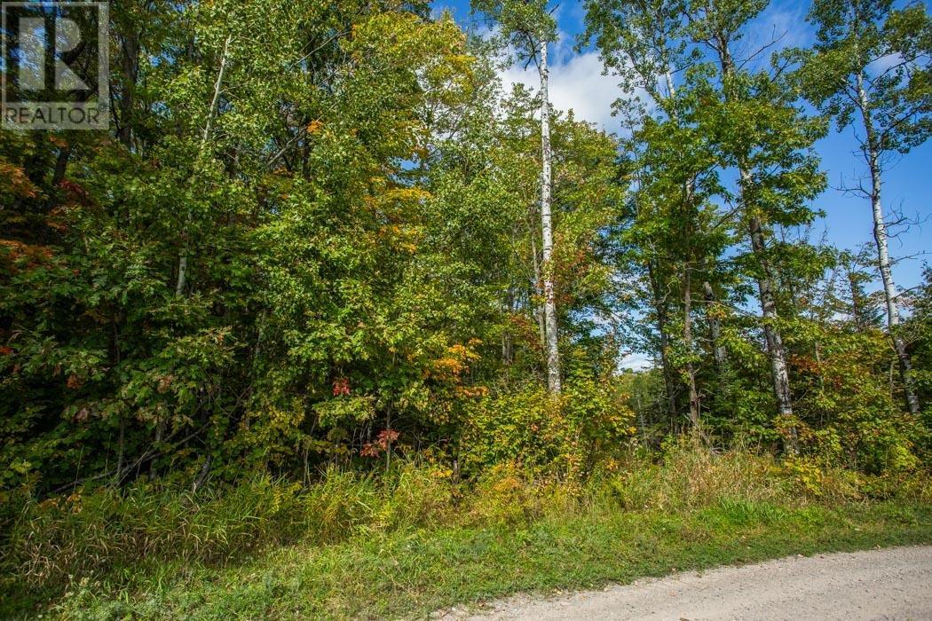 Corner Of Carter Side Road And Gordon Lake Road Pa, Johnson Township, Ontario  P0R 1E0 - Photo 15 - SM252706
